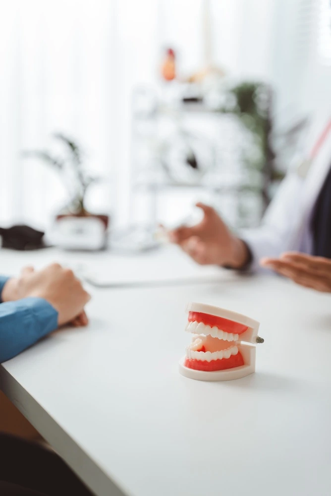 Typodont jaw model sitting on a desk during a patient consultation at Parramatta Green Dental clinic.